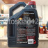 Масло моторное MOTUL 8100 ECO-nergy A5/B5 5W-30 5л